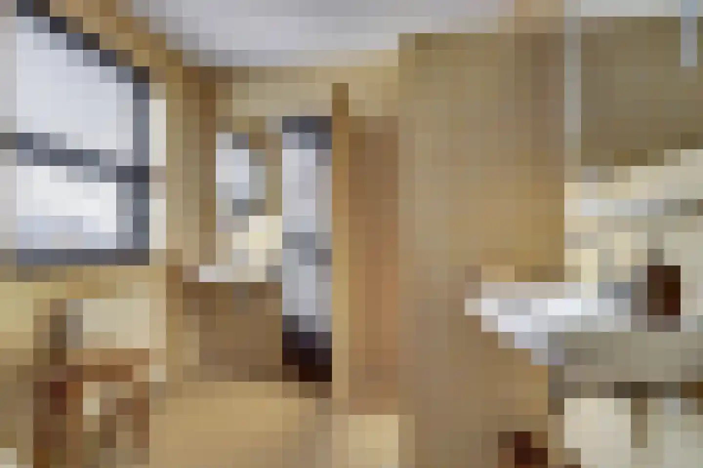 Schietwilgendreef 4 Kamperland thumbnail 27