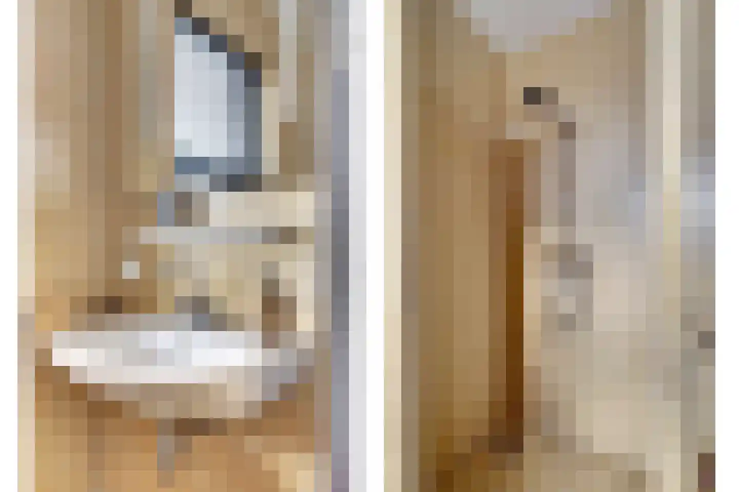 Schietwilgendreef 4 Kamperland thumbnail 29