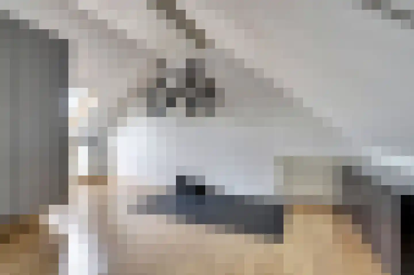 Schietwilgendreef 4 Kamperland thumbnail 32