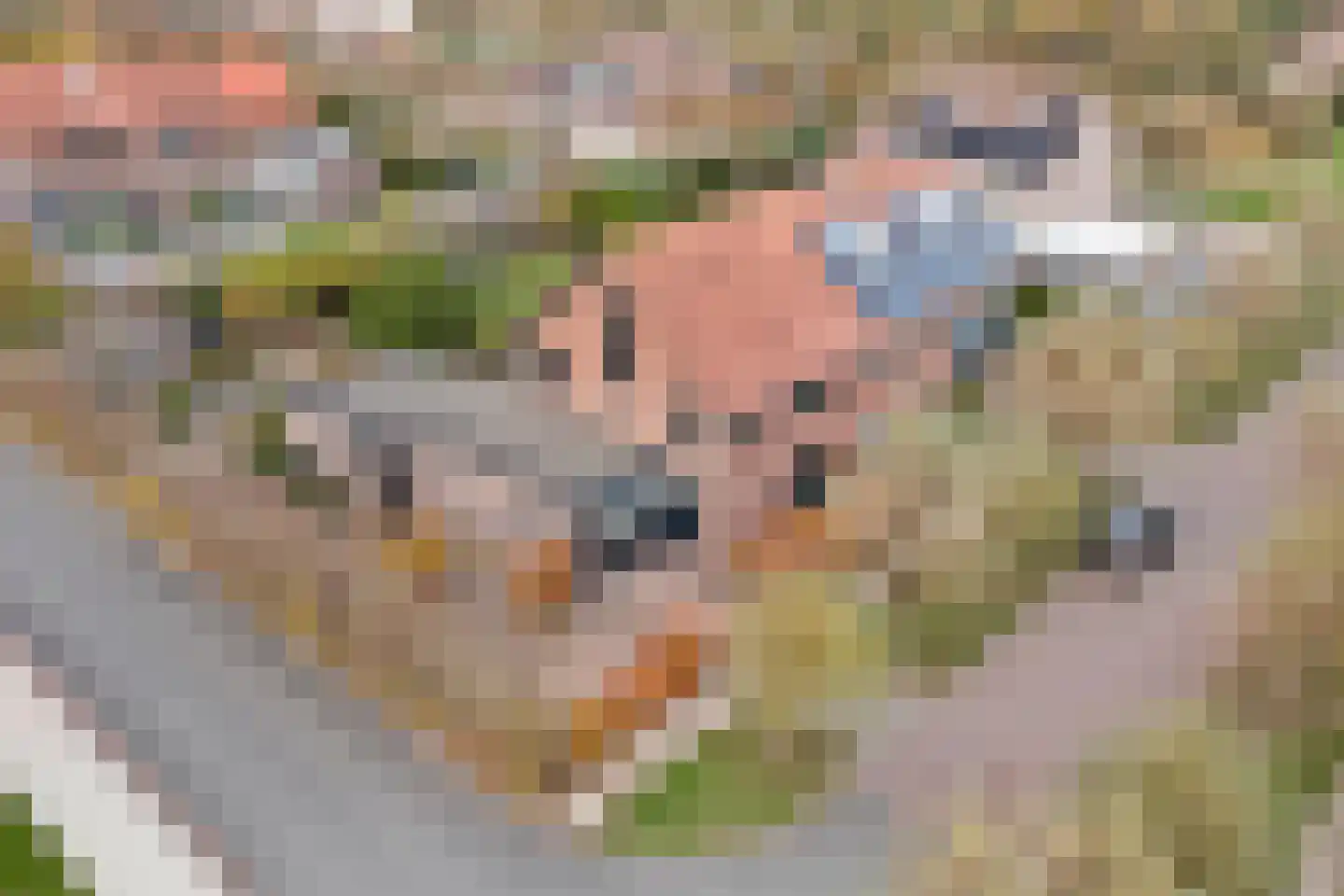 Schietwilgendreef 4 Kamperland thumbnail 38