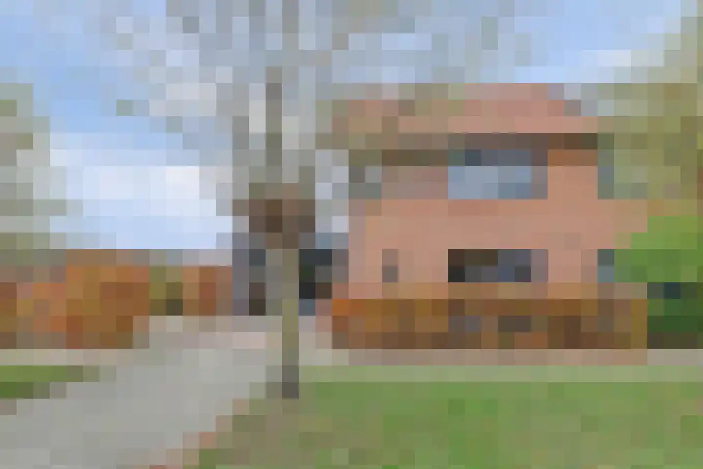 Schietwilgendreef 4 Kamperland thumbnail 5