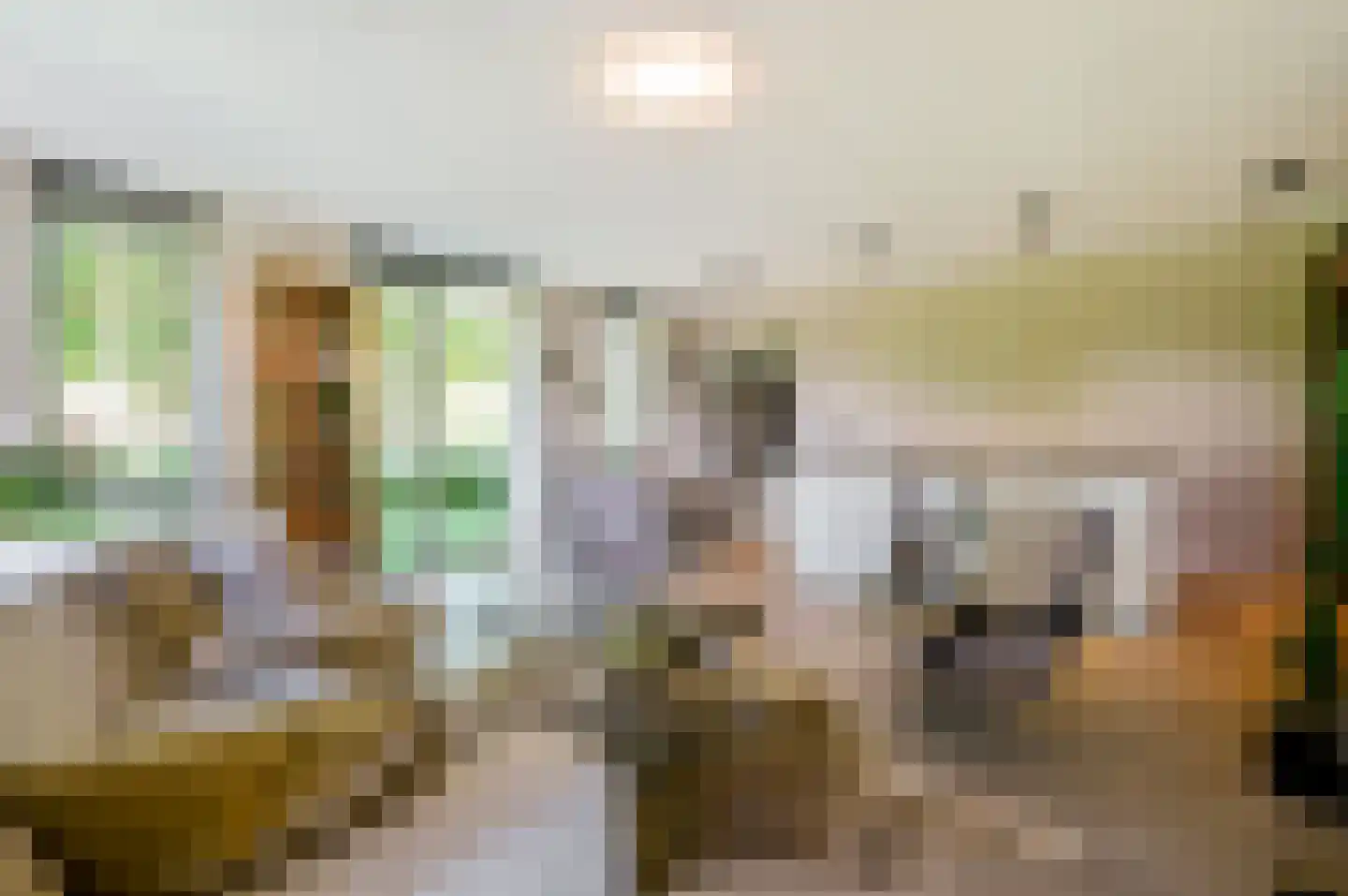 Schieveen 1 Lelystad thumbnail 10