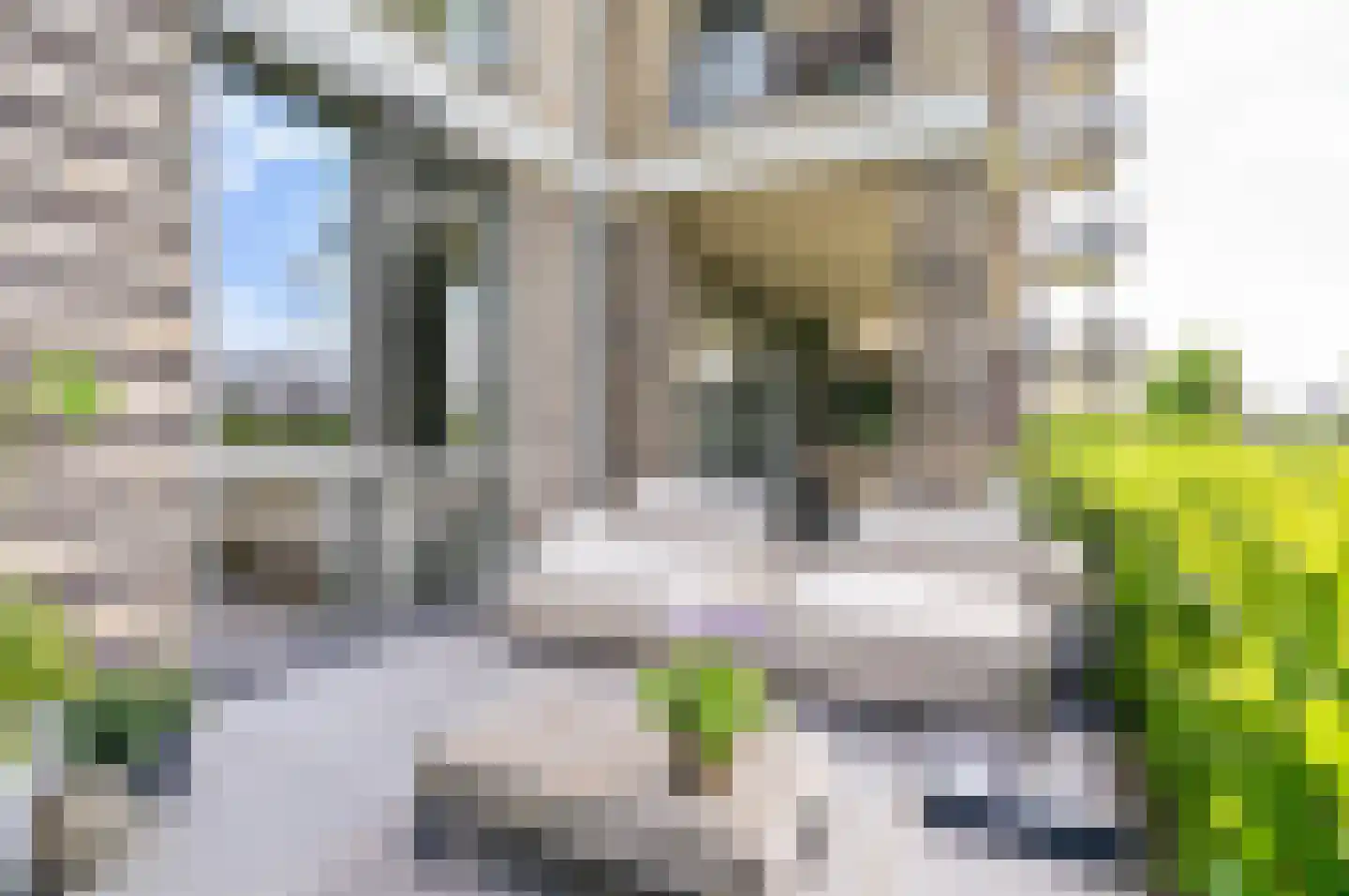 Schieveen 1 Lelystad thumbnail 37