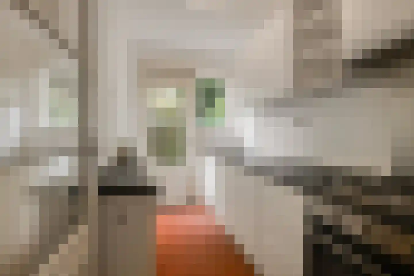Schieveenstraat 47 B Rotterdam thumbnail 18