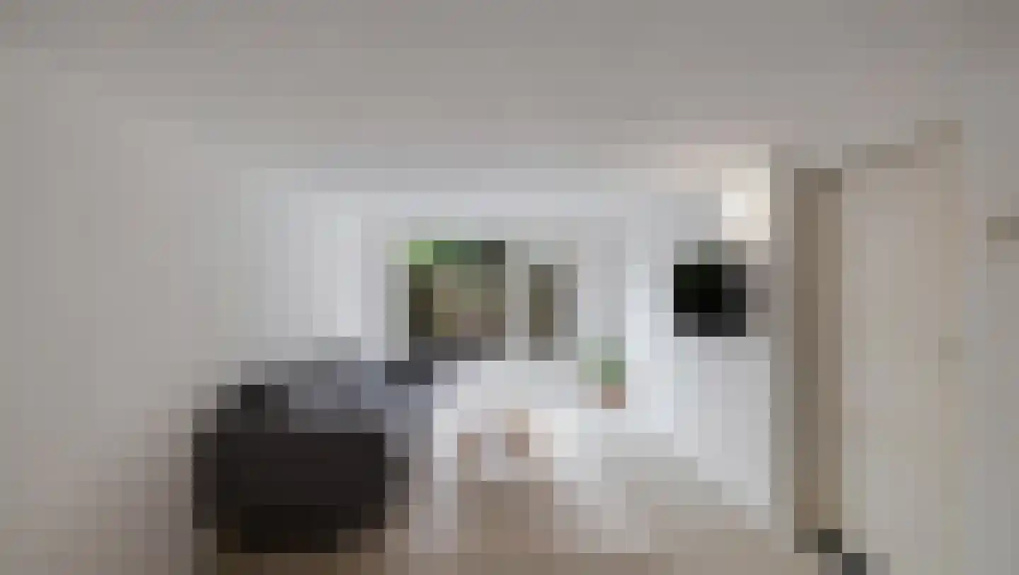 Schieveenstraat 47 B Rotterdam thumbnail 23