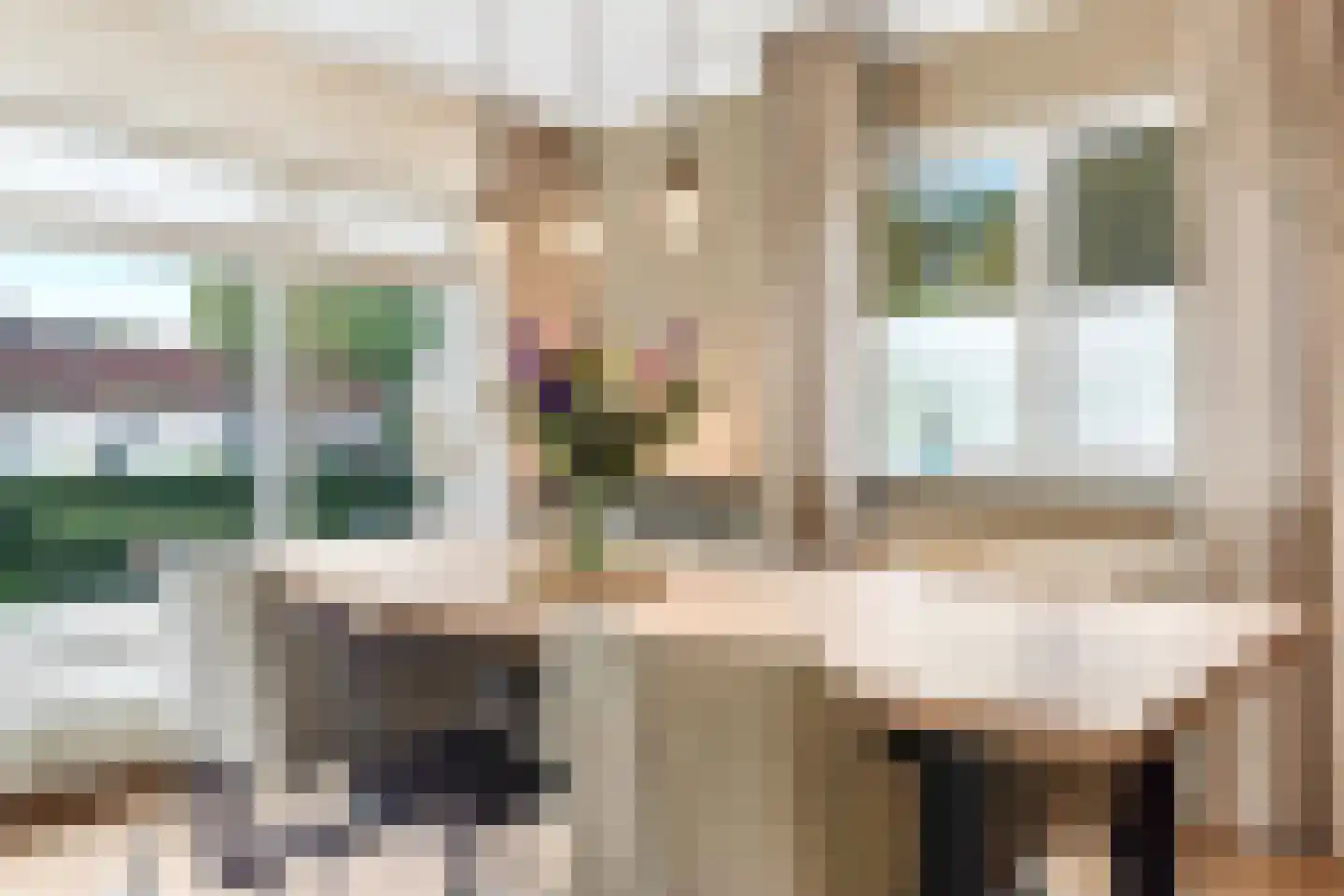 Schievestraat 21 Zevenaar thumbnail 17
