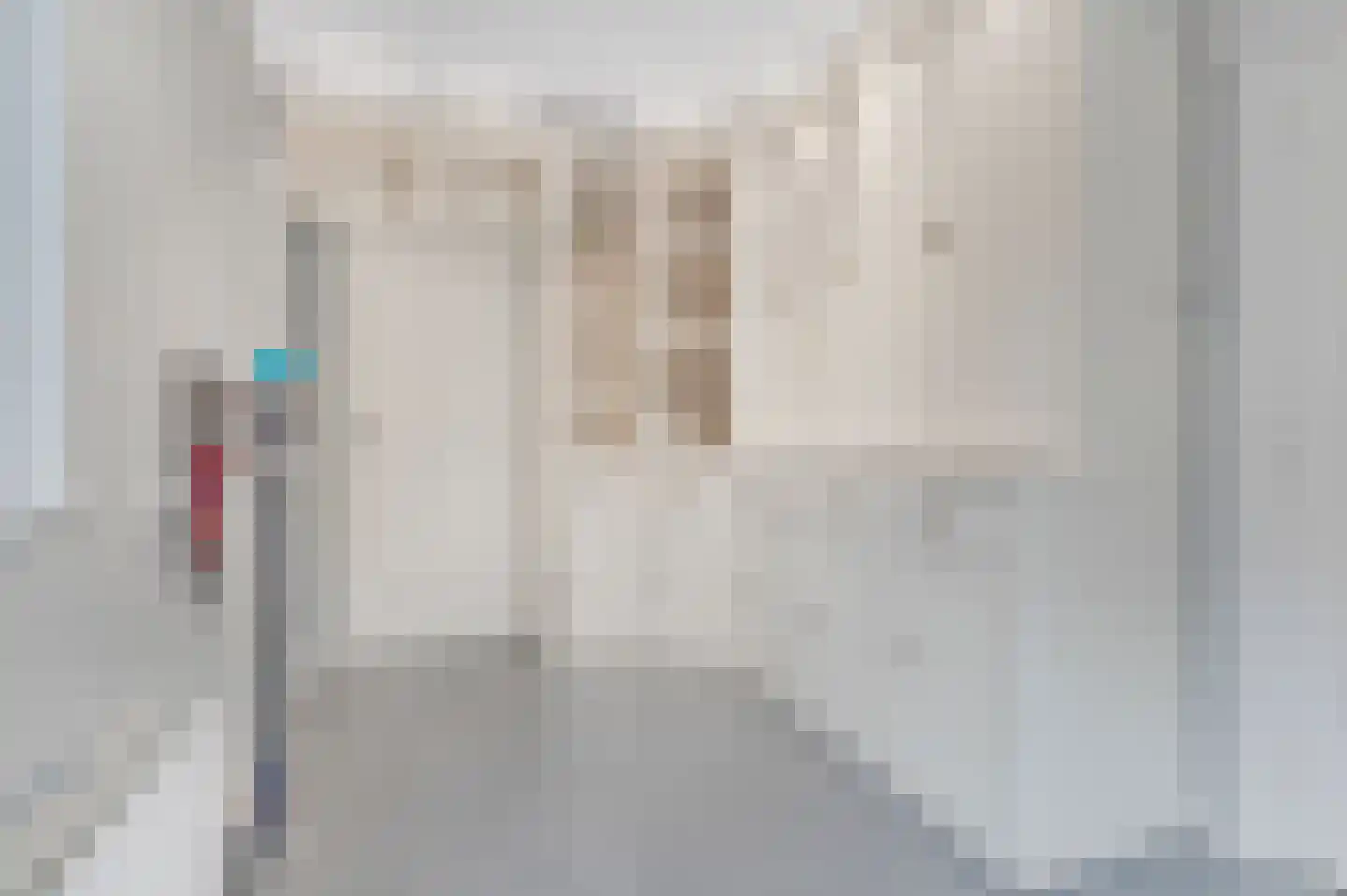 Schievestraat 21 Zevenaar thumbnail 27