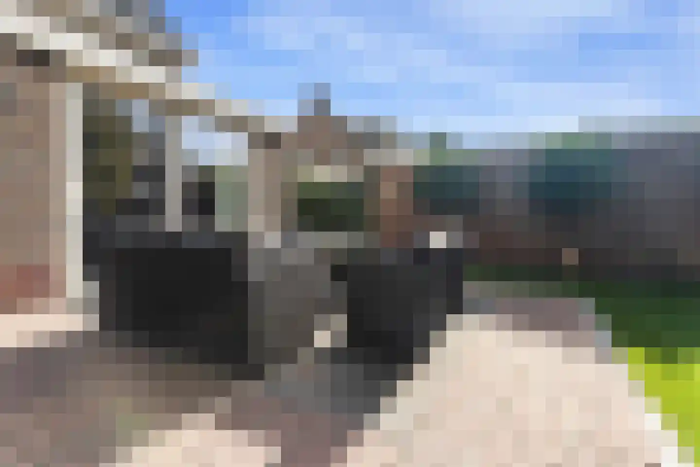 Schievestraat 21 Zevenaar thumbnail 33