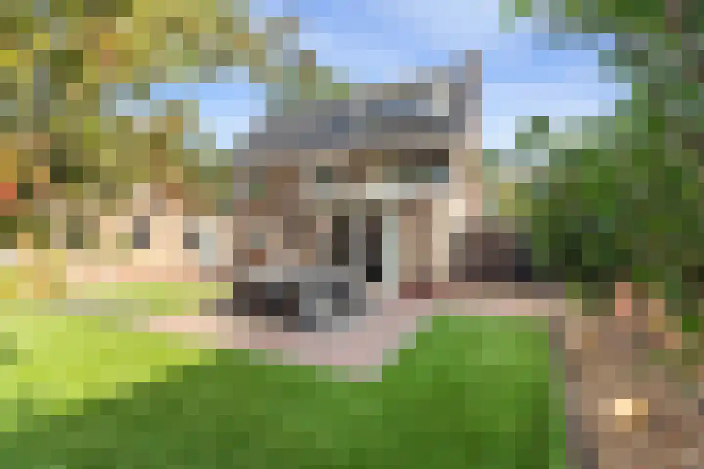Schievestraat 21 Zevenaar thumbnail 34