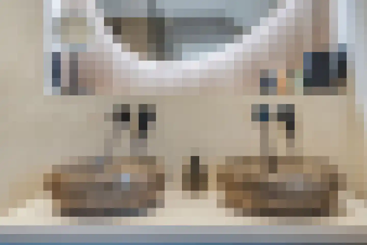 Schievestraat 21 Zevenaar thumbnail 47