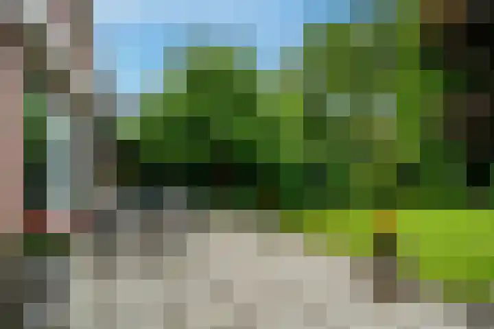 Schievestraat 25 Zevenaar thumbnail 31