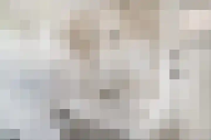 Schievestraat 25 Zevenaar thumbnail 42