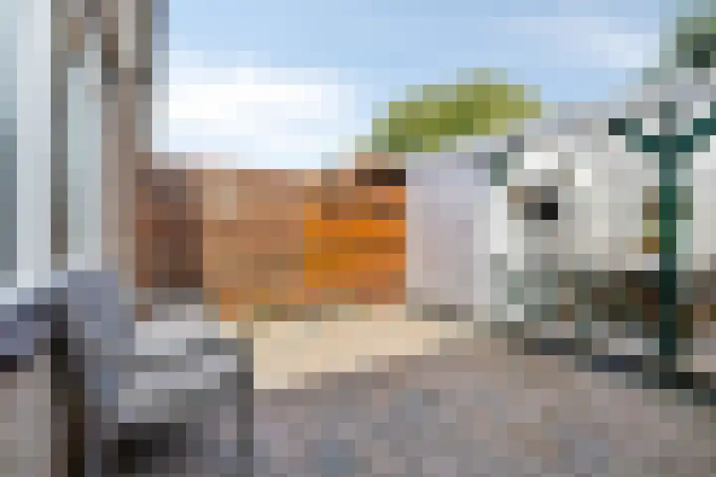 Schievestraat 32 Zevenaar thumbnail 39