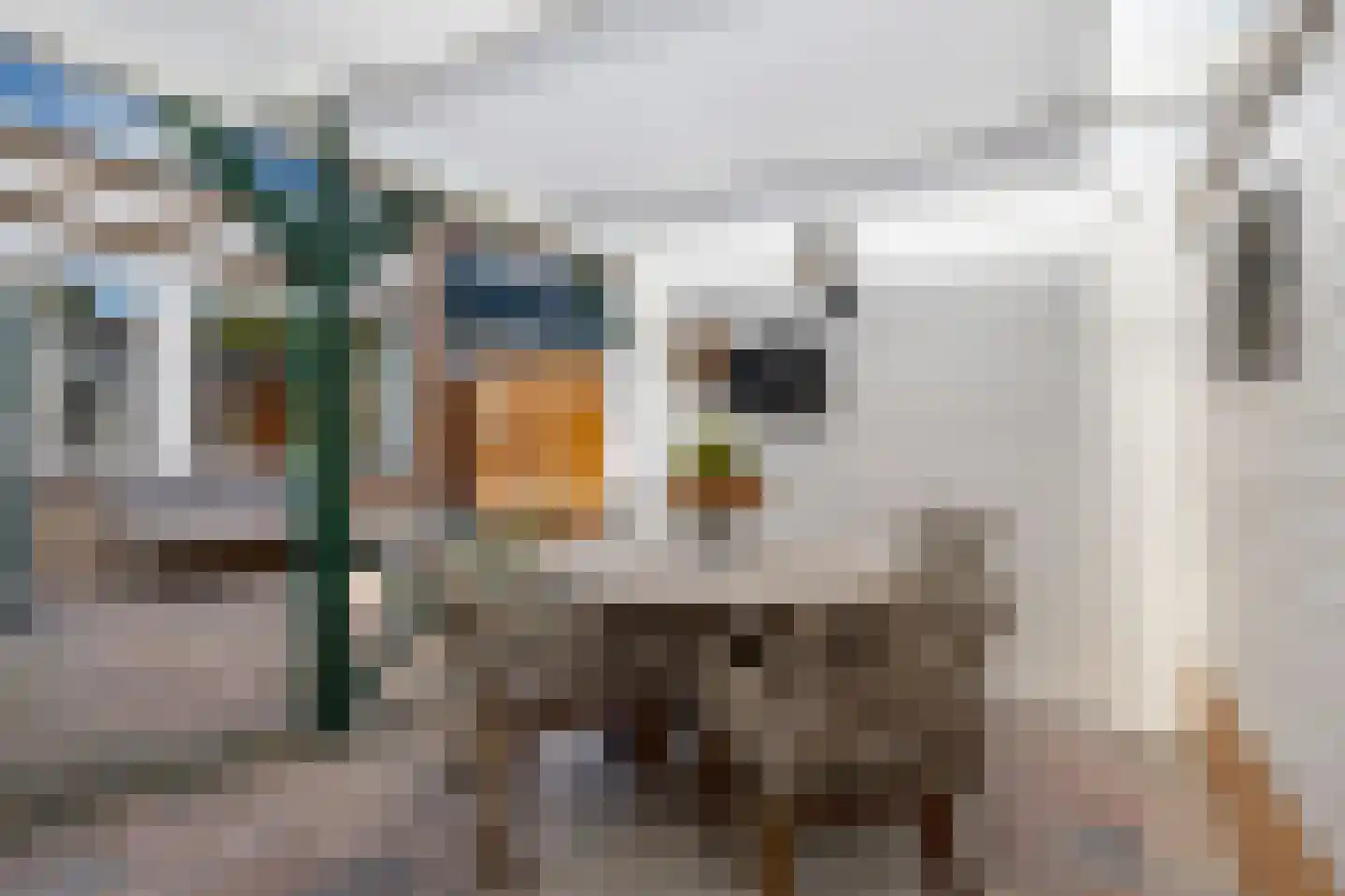 Schievestraat 32 Zevenaar thumbnail 42