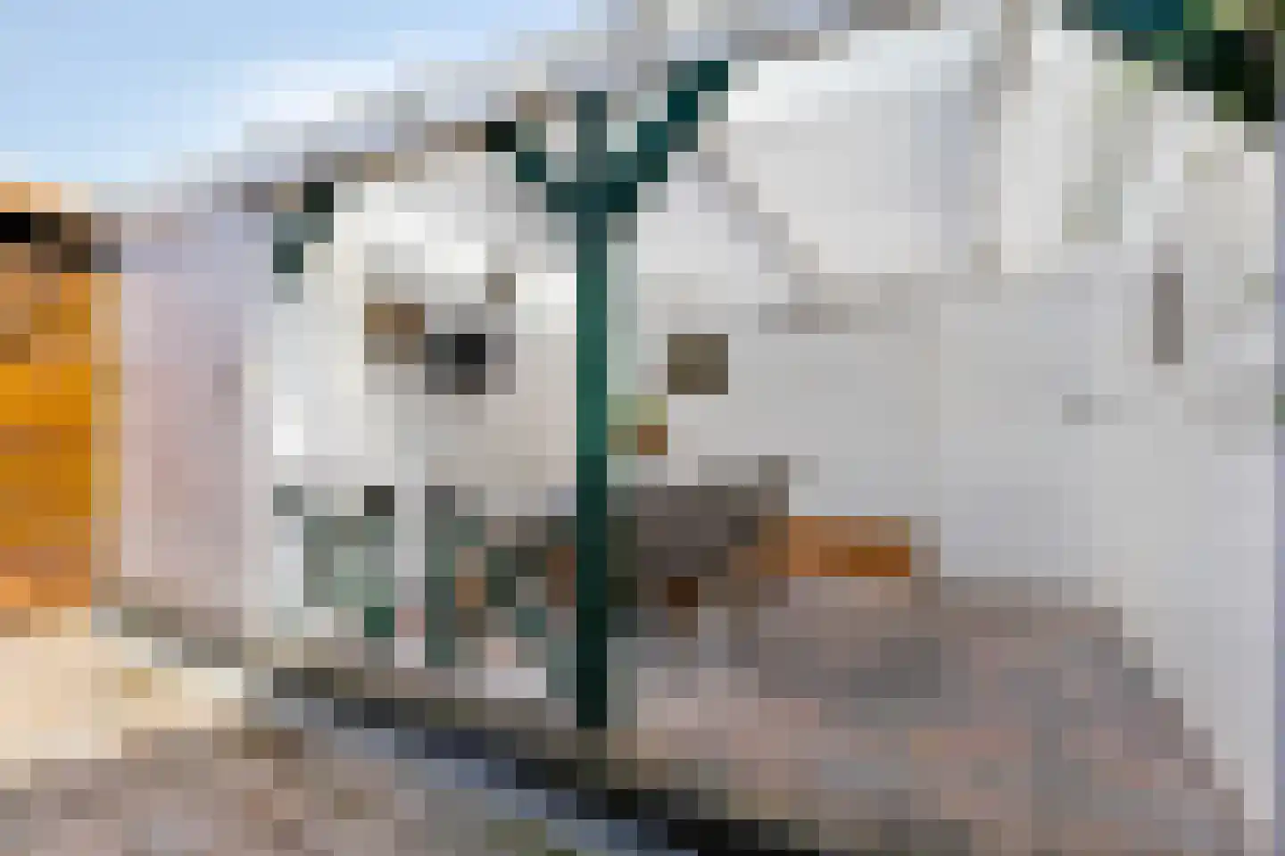 Schievestraat 32 Zevenaar thumbnail 44