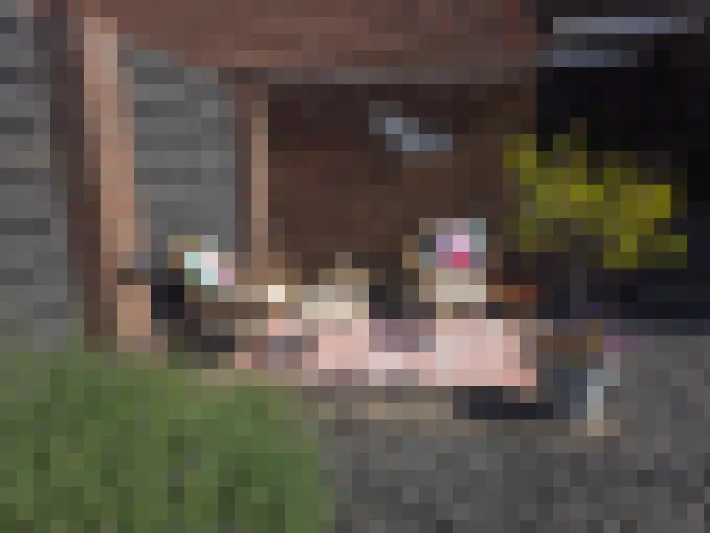Schievestraat 5 Zevenaar thumbnail 48
