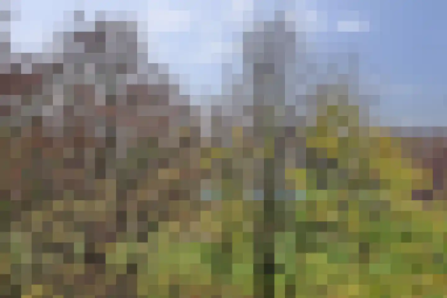 Schieweg 100 A Rotterdam thumbnail 31