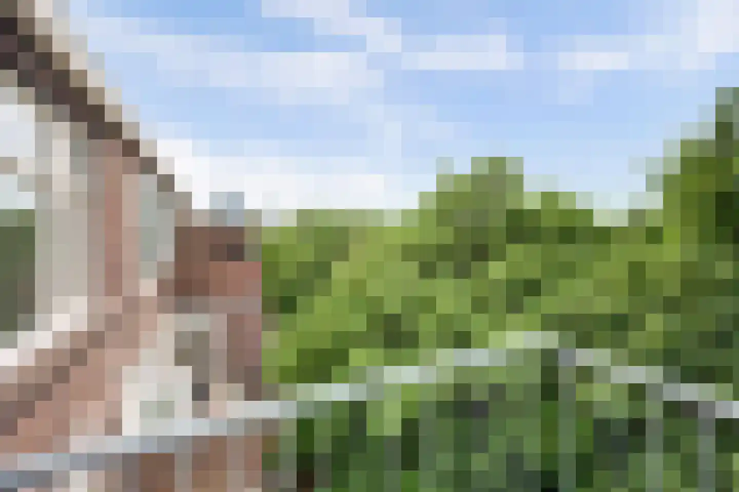 Schieweg 100 C 02 Rotterdam thumbnail 23