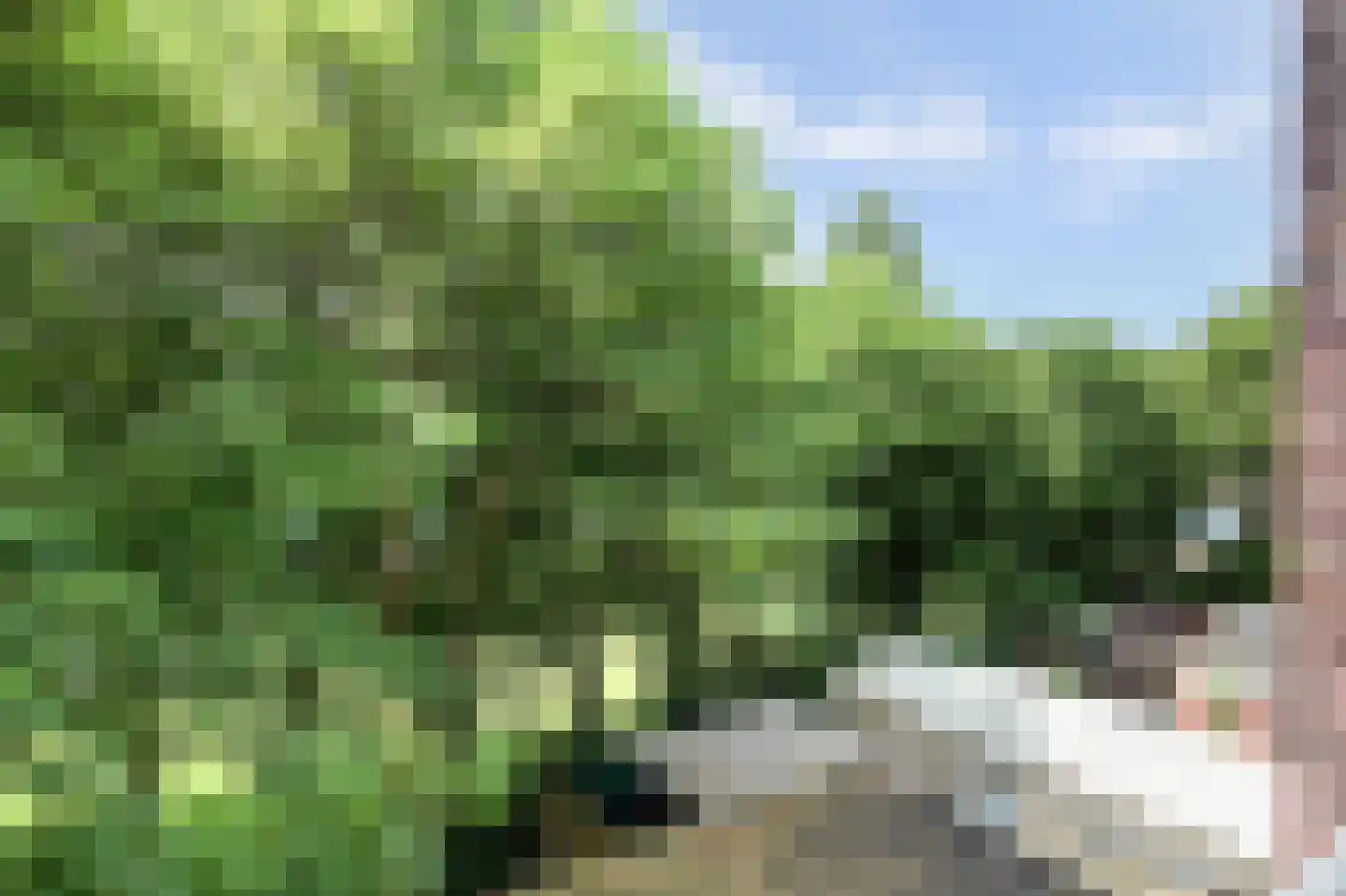 Schieweg 100 C 02 Rotterdam thumbnail 7