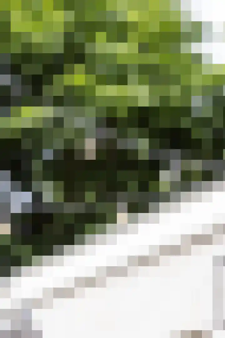 Schieweg 110 A Rotterdam thumbnail 33