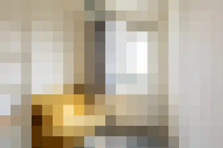 Schieweg 111 C 02 Rotterdam thumbnail 5