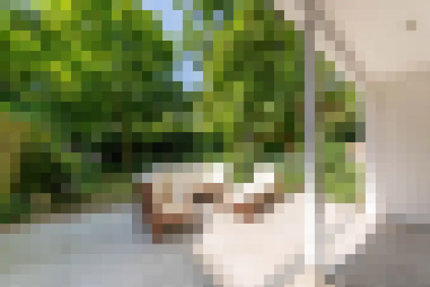 Schieweg 12 B Rotterdam thumbnail 18