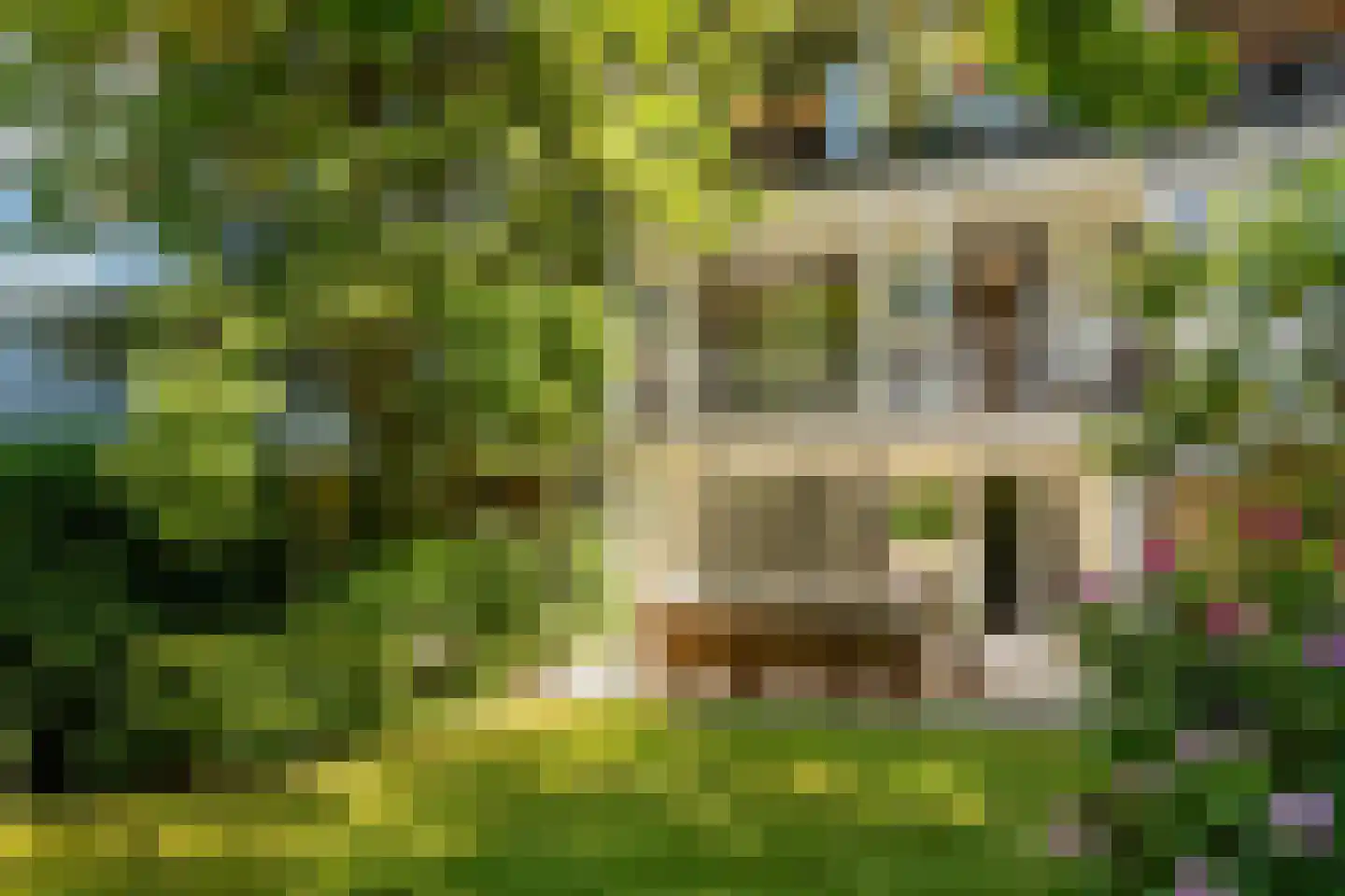Schieweg 12 B Rotterdam thumbnail 19