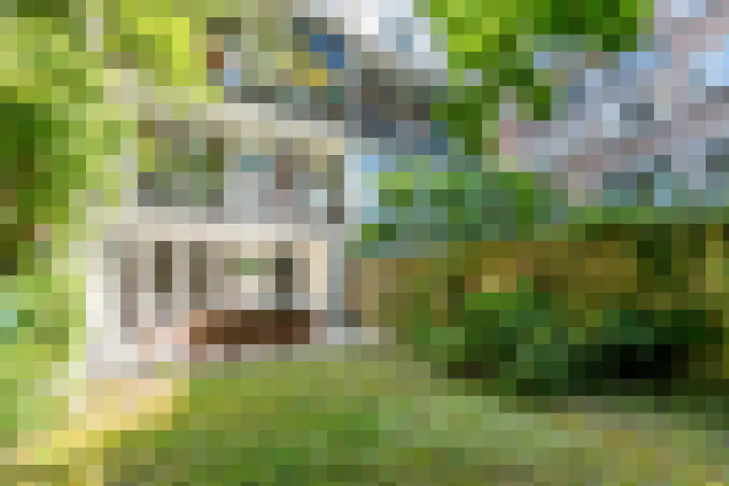 Schieweg 12 B Rotterdam thumbnail 21