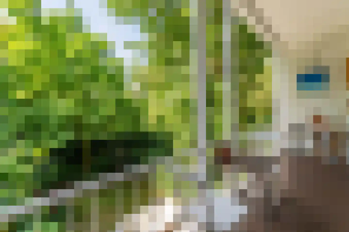 Schieweg 12 B Rotterdam thumbnail 8