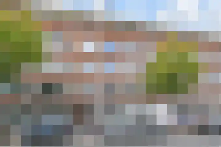 Schieweg 120 B Rotterdam thumbnail 38