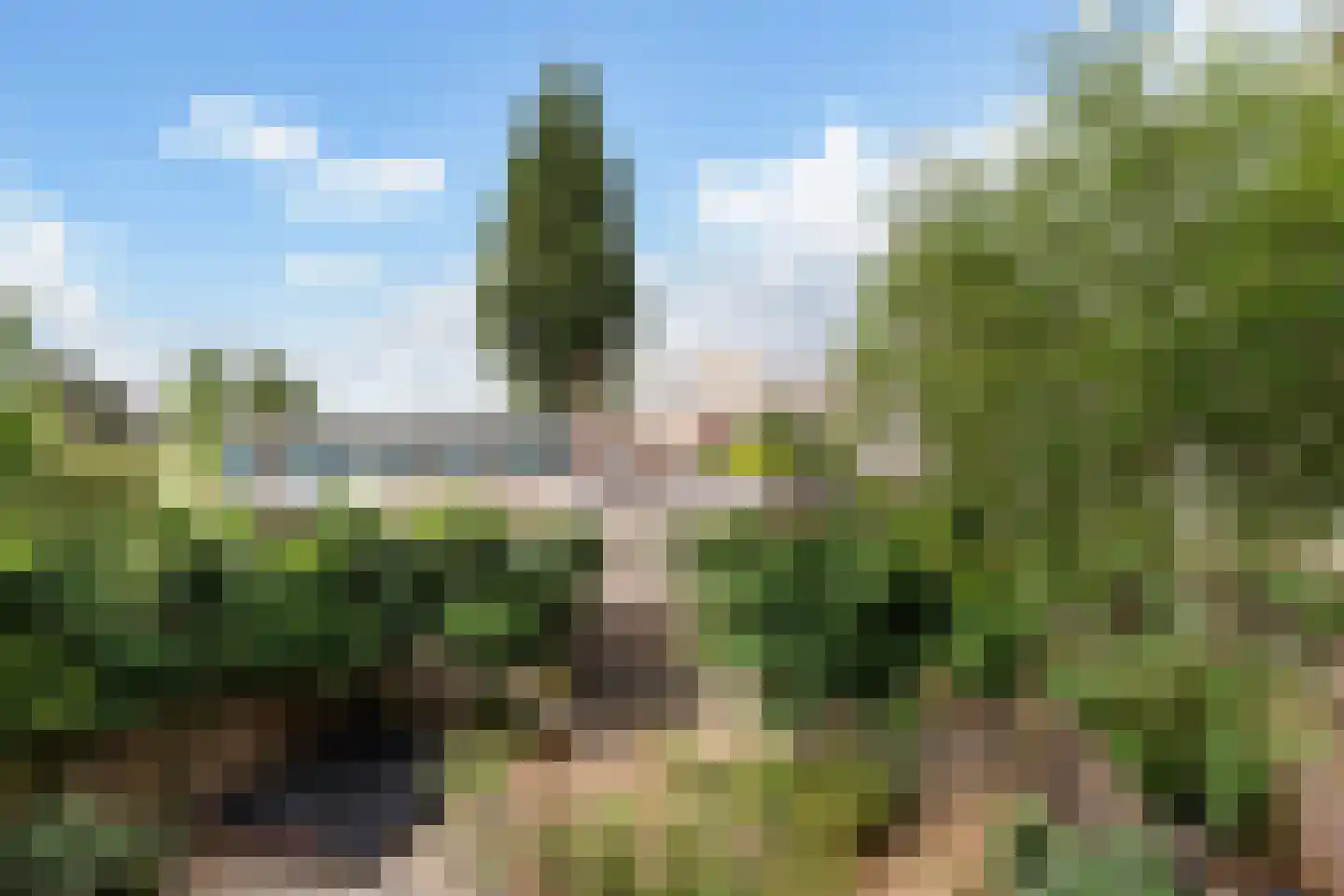 Schieweg 124 D Rotterdam thumbnail 15