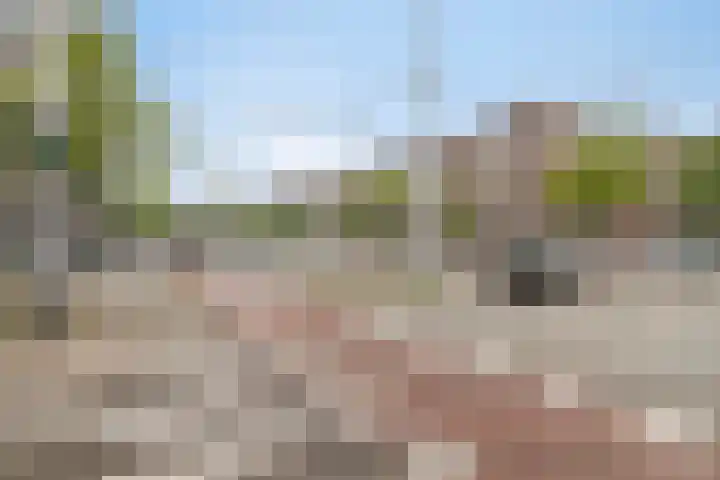 Schieweg 132 B 02 Rotterdam thumbnail 23