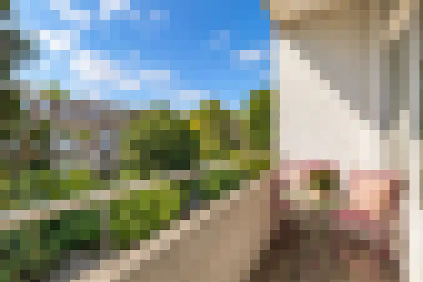 Schieweg 146 A Rotterdam thumbnail 18