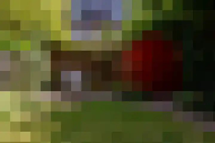 Schieweg 153 B Rotterdam thumbnail 33