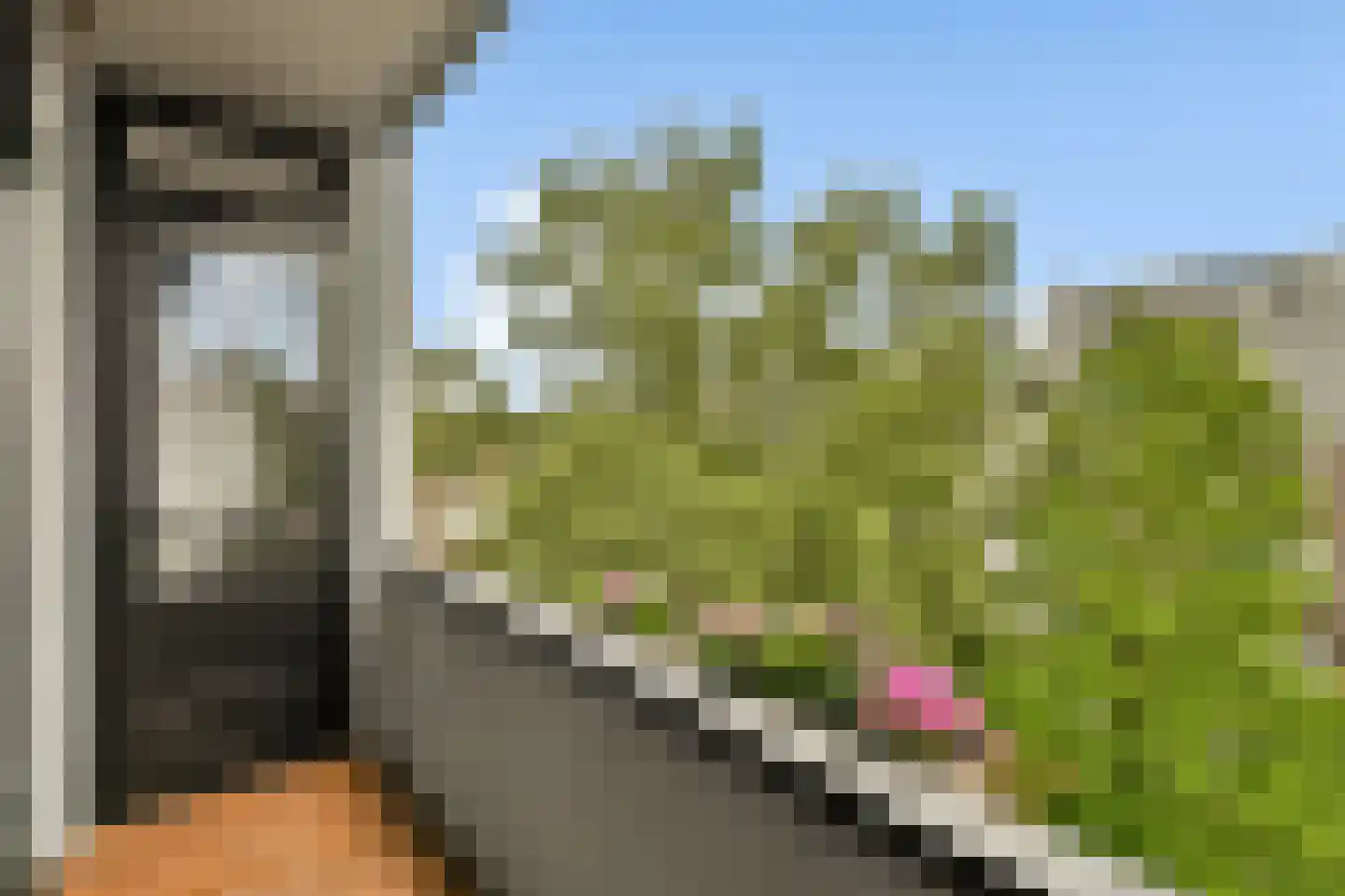 Schieweg 157 A Rotterdam thumbnail 12