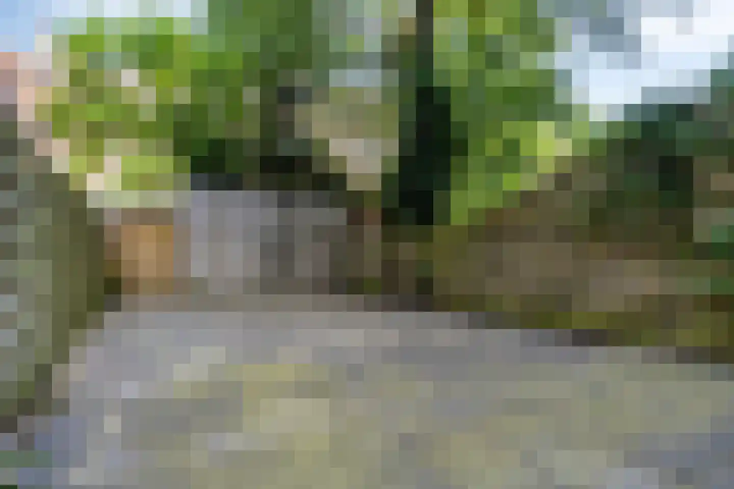 Schieweg 161 A Rotterdam thumbnail 22
