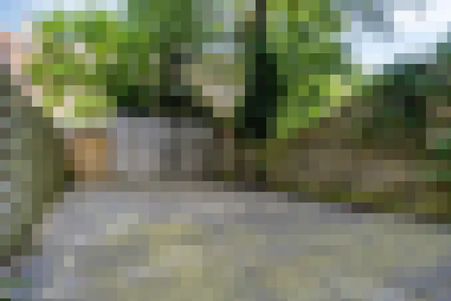 Schieweg 161 A Rotterdam thumbnail 22