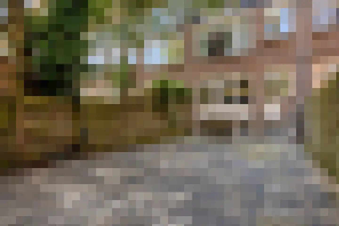 Schieweg 161 A Rotterdam thumbnail 6