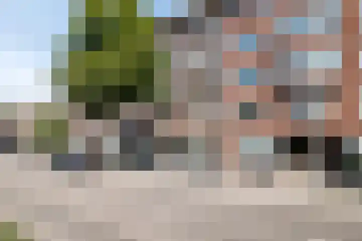 Schieweg 163 B Rotterdam thumbnail 5