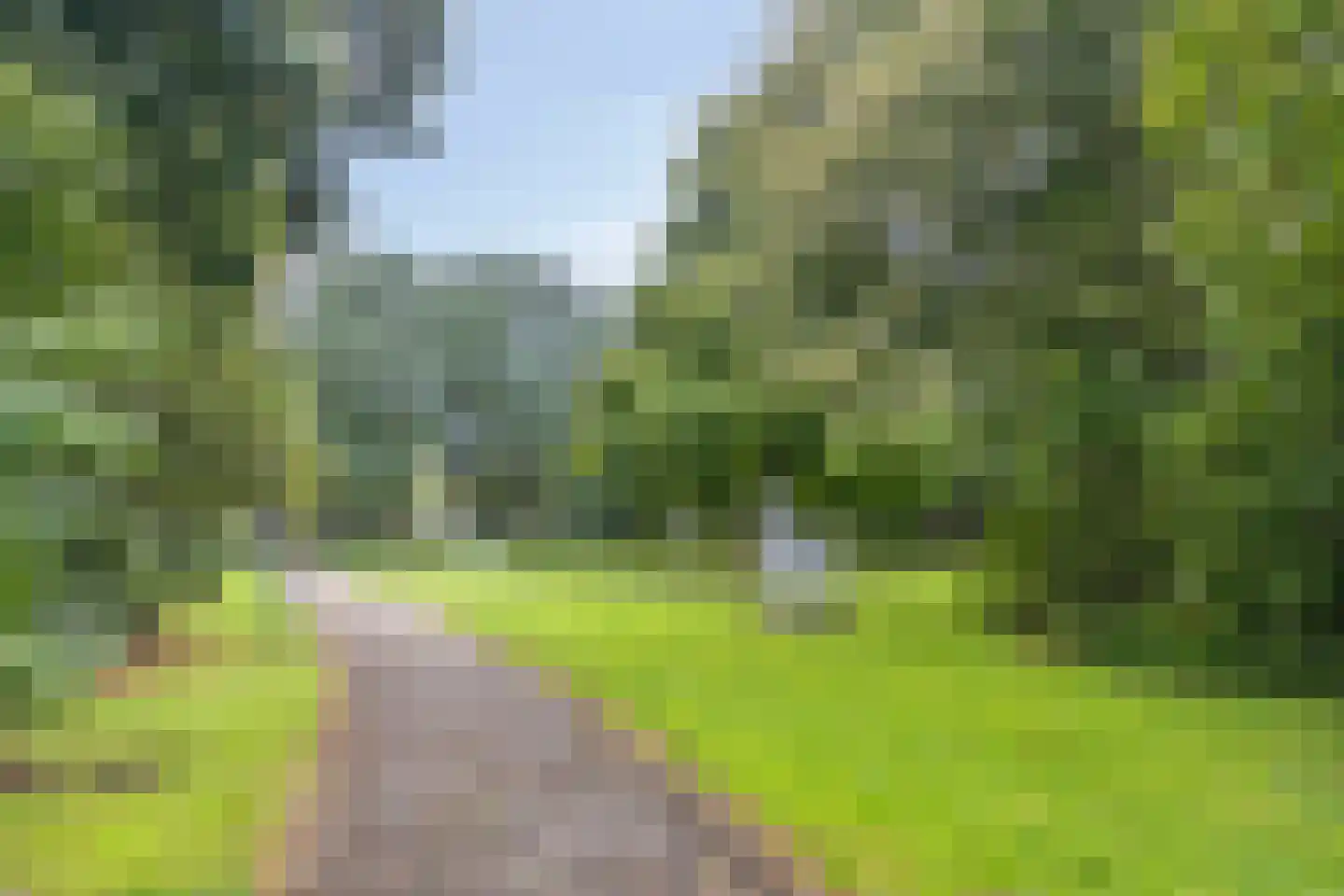 Schieweg 170 B Rotterdam thumbnail 17