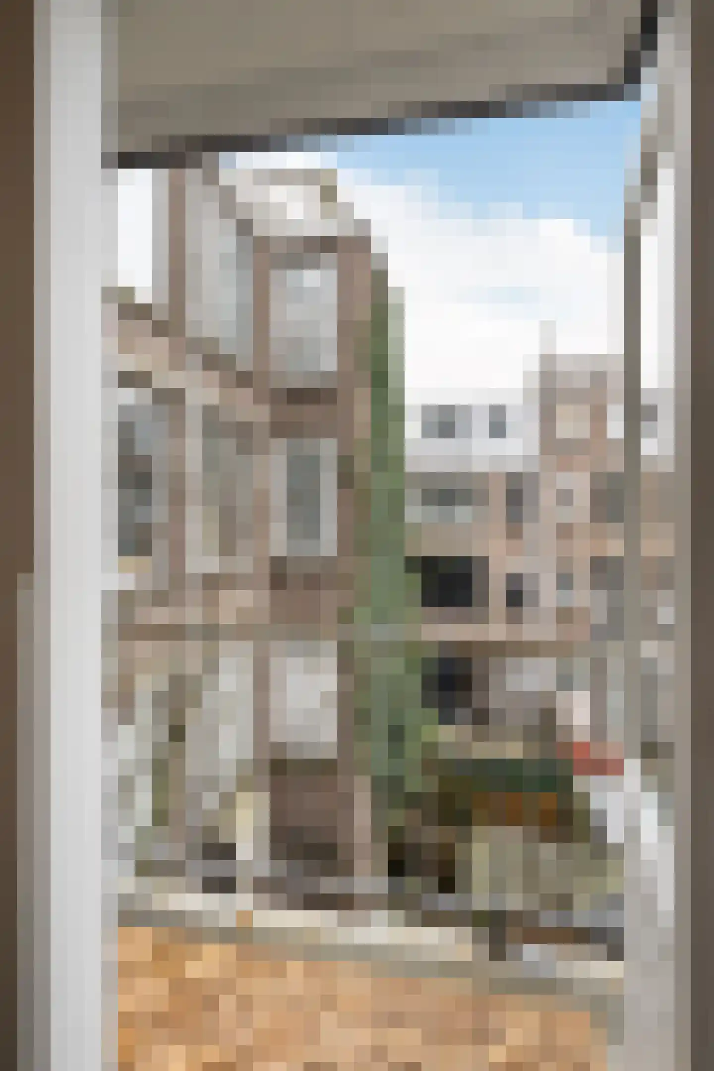 Schieweg 176 C 02 Rotterdam thumbnail 12