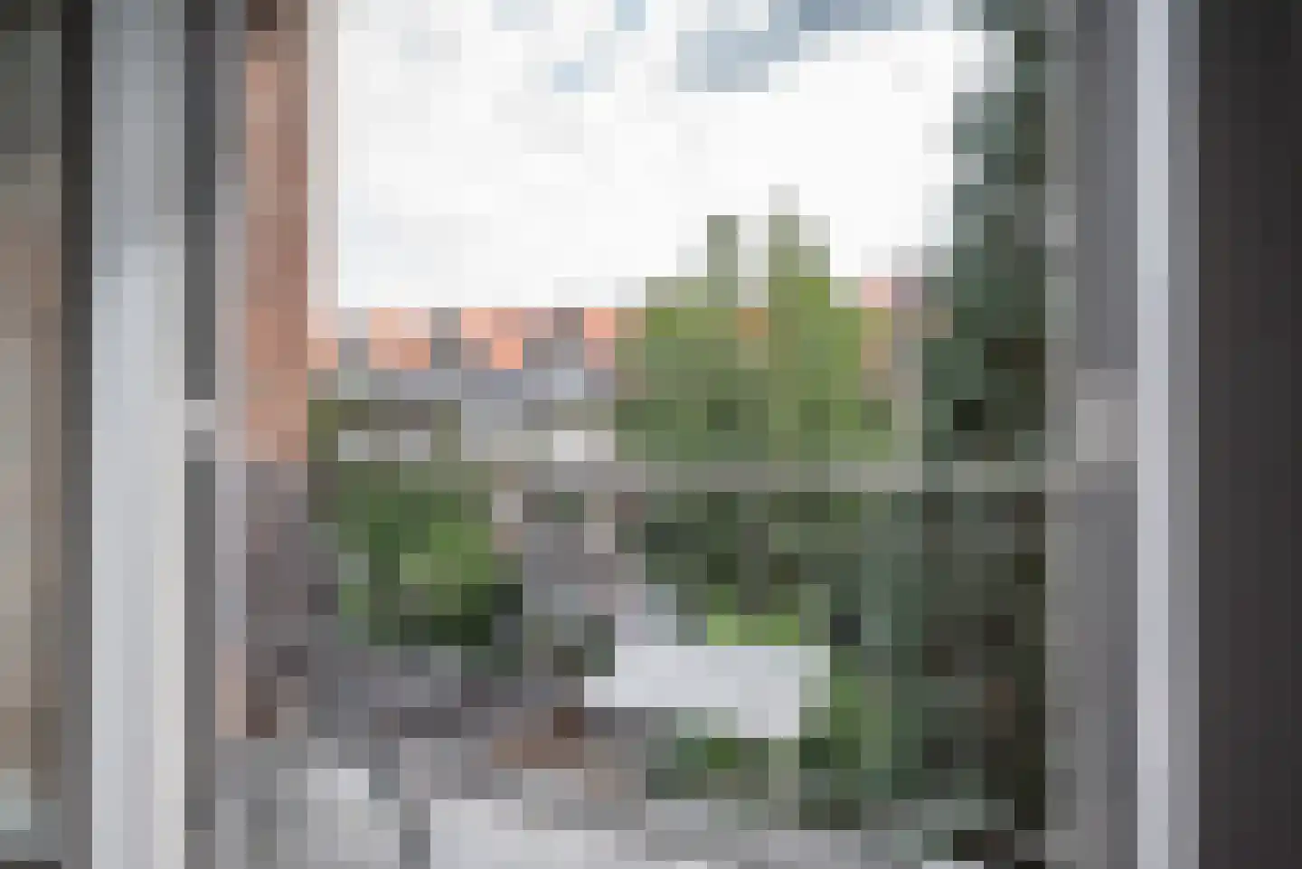 Schieweg 179 A 02 Rotterdam thumbnail 13