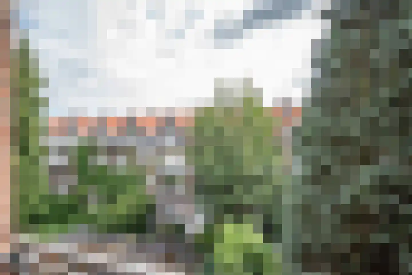 Schieweg 179 A 02 Rotterdam thumbnail 14