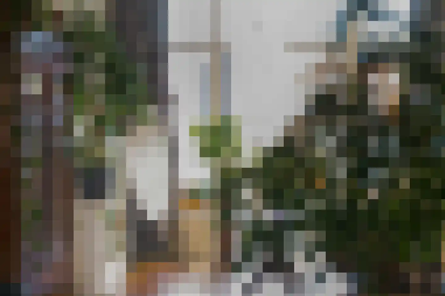 Schieweg 179 B 01 Rotterdam thumbnail 14