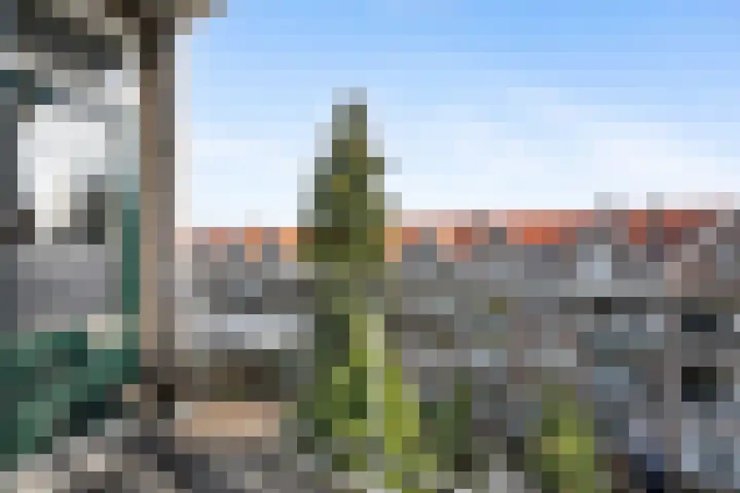 Schieweg 185 A BG Rotterdam thumbnail 10