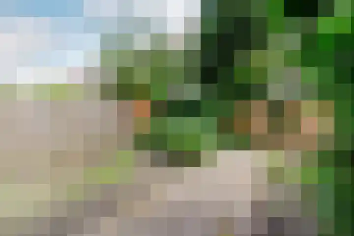 Schieweg 187 B 01 Rotterdam thumbnail 19