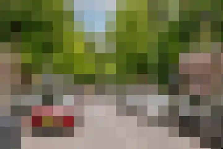 Schieweg 187 B 01 Rotterdam thumbnail 30