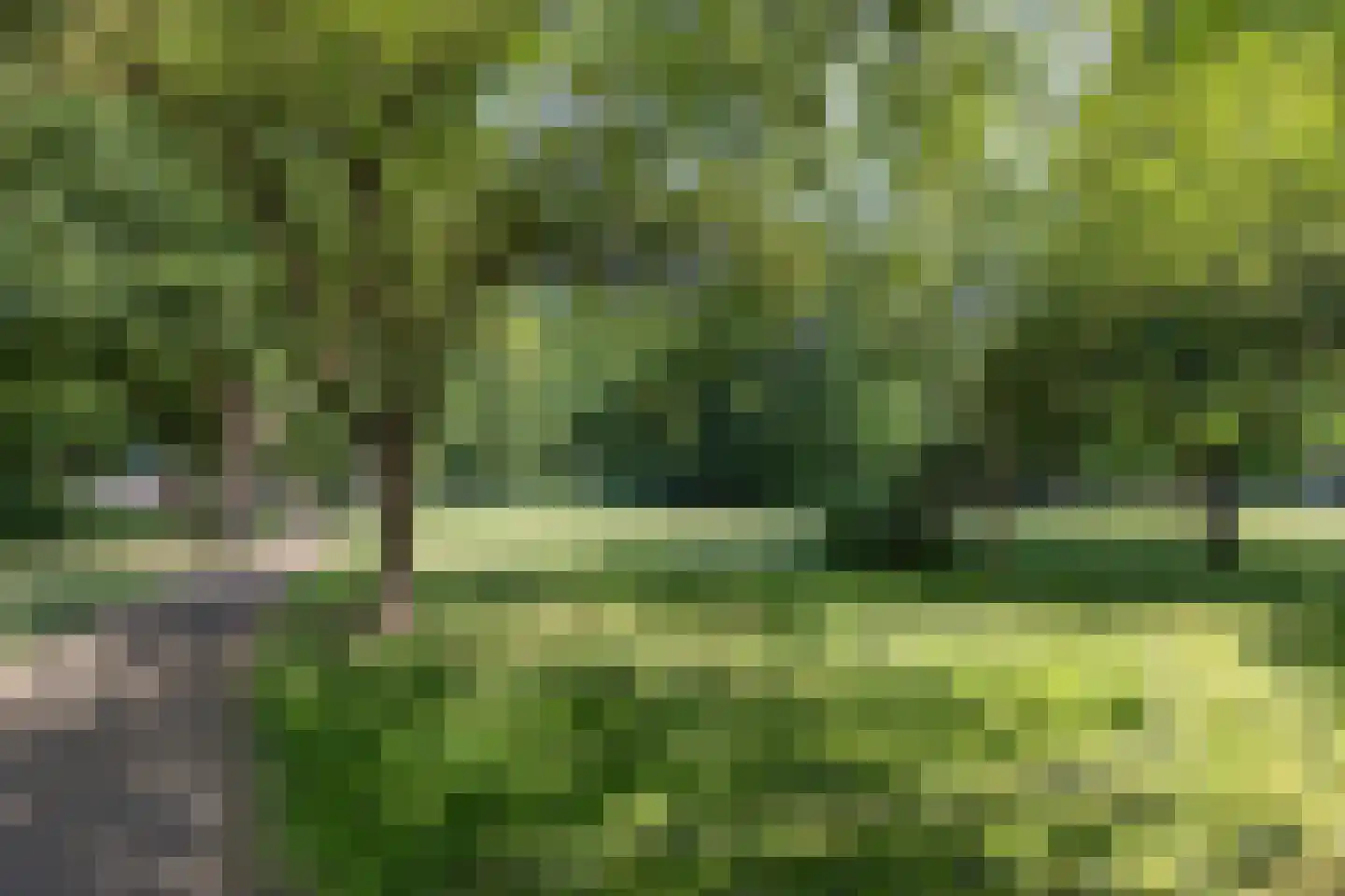 Schieweg 188 C 02 Rotterdam thumbnail 30