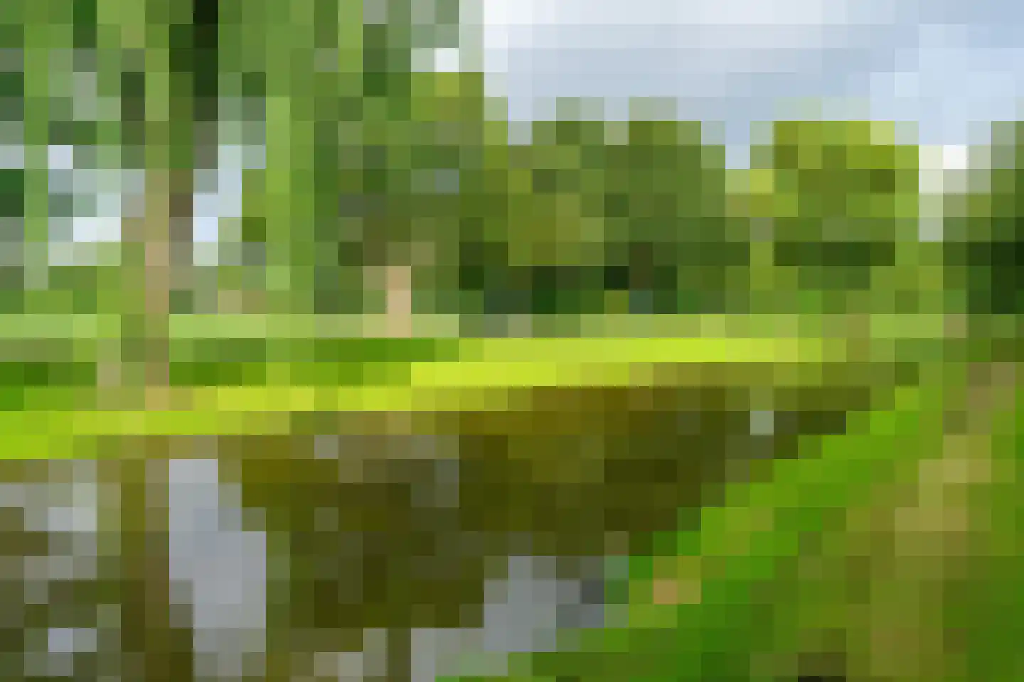 Schieweg 188 C 02 Rotterdam thumbnail 33