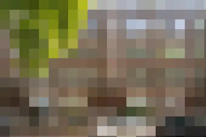 Schieweg 191 A 03 Rotterdam thumbnail 4